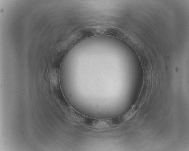 X0000075380129200609251202