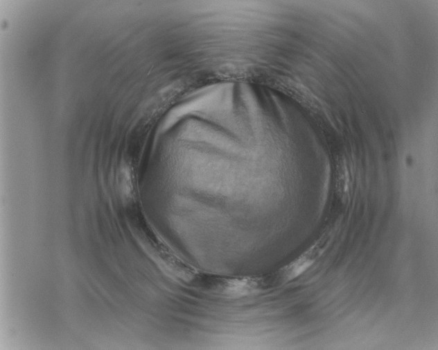 X0000075380130200609251202