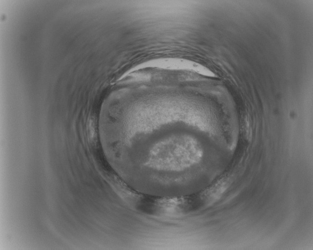 X0000075380131200609251202