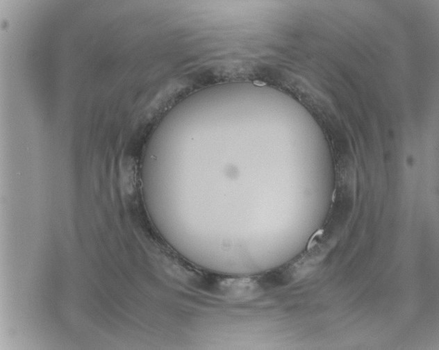 X0000075380133200609251202