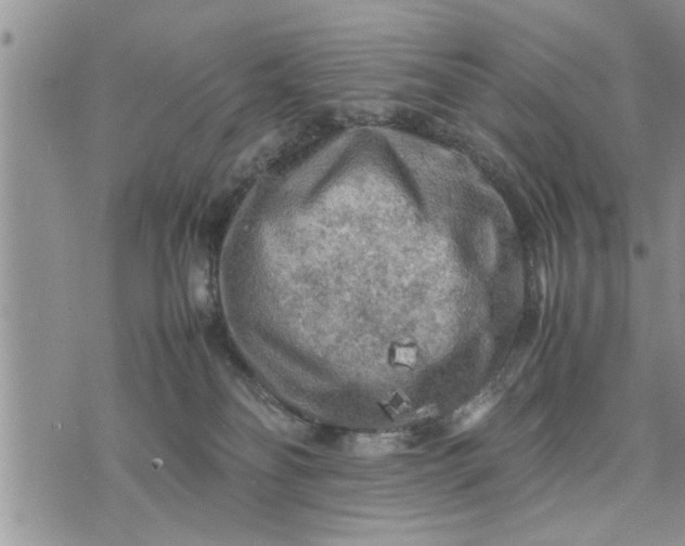 X0000075380134200609251202