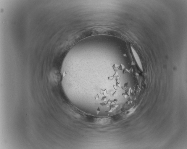 X0000075380135200609251202