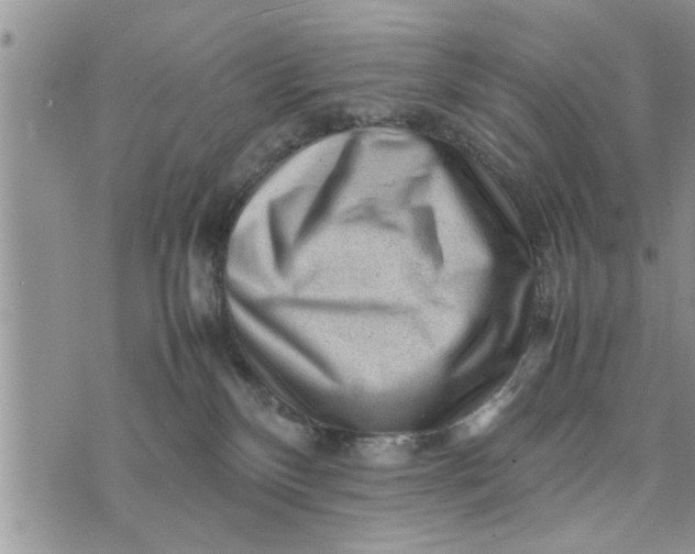 X0000075380136200609251202