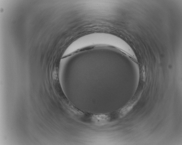 X0000075380137200609251202