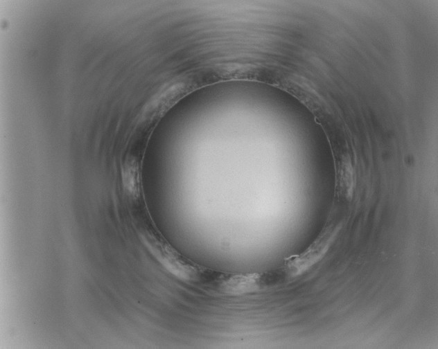 X0000075380138200609251202