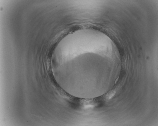 X0000075380139200609251201