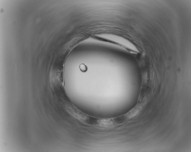 X0000075380141200609251201