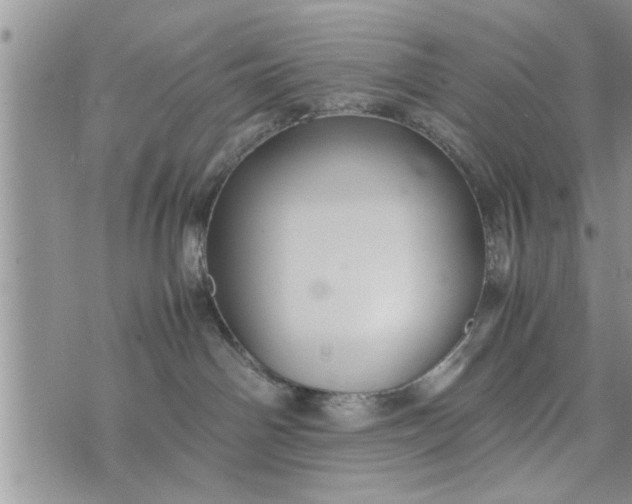 X0000075380142200609251201