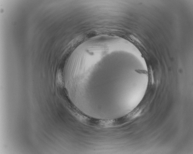 X0000075380143200609251201