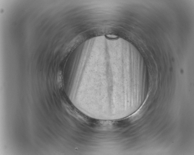 X0000075380144200609251201