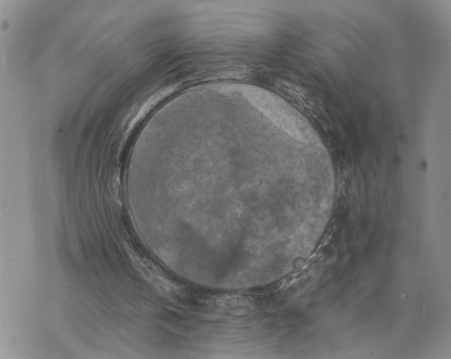 X0000075380146200609251201