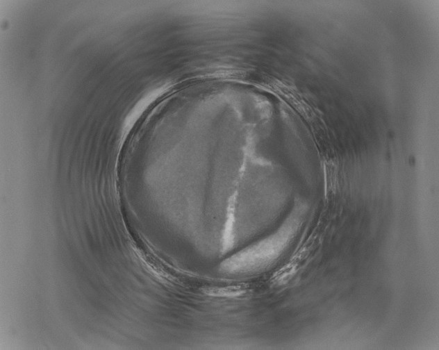 X0000075380147200609251201