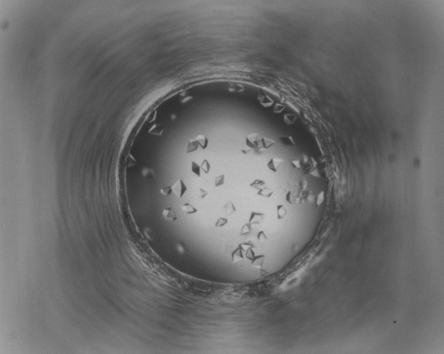 X0000075380148200609251201