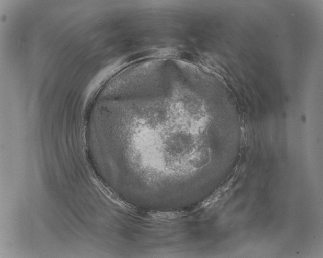 X0000075380149200609251201