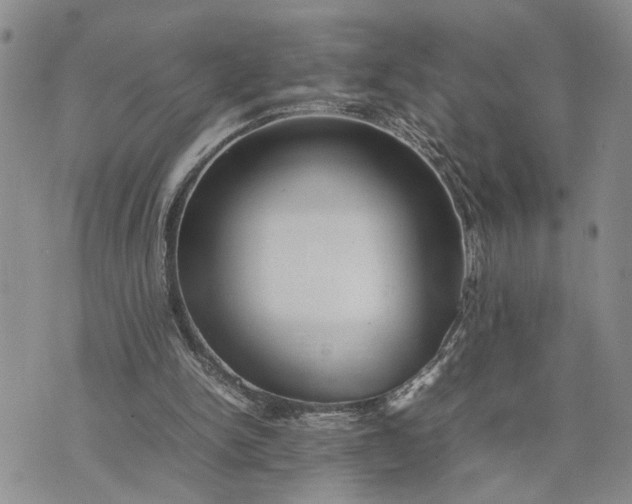 X0000075380150200609251201