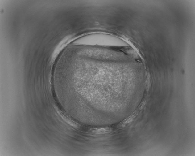 X0000075380151200609251201