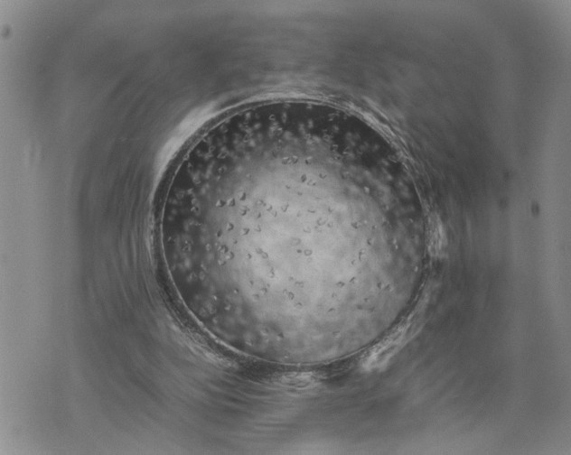 X0000075380152200609251201