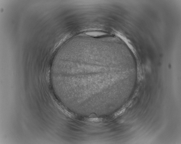 X0000075380153200609251201