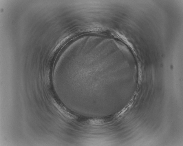 X0000075380154200609251201