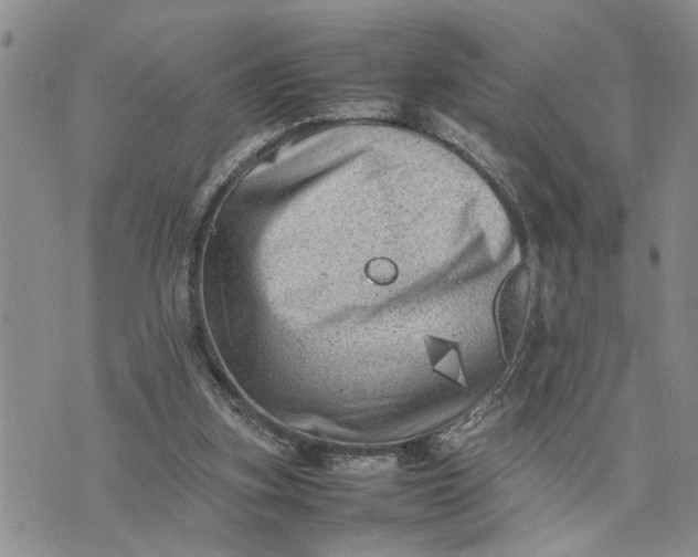 X0000075380155200609251201