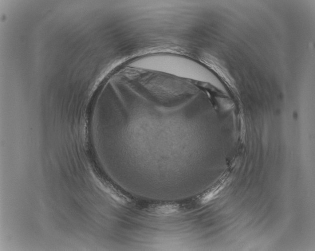 X0000075380156200609251201