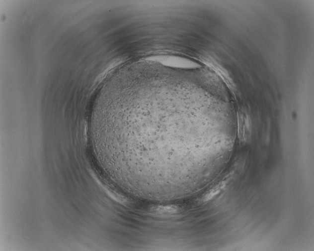 X0000075380157200609251201