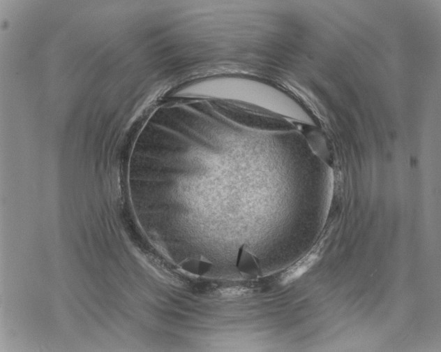 X0000075380158200609251201