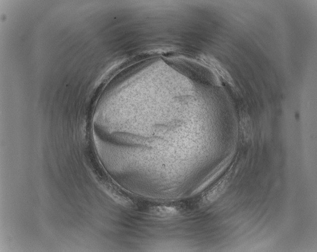 X0000075380159200609251201