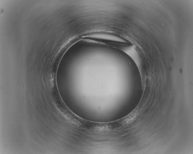 X0000075380160200609251201