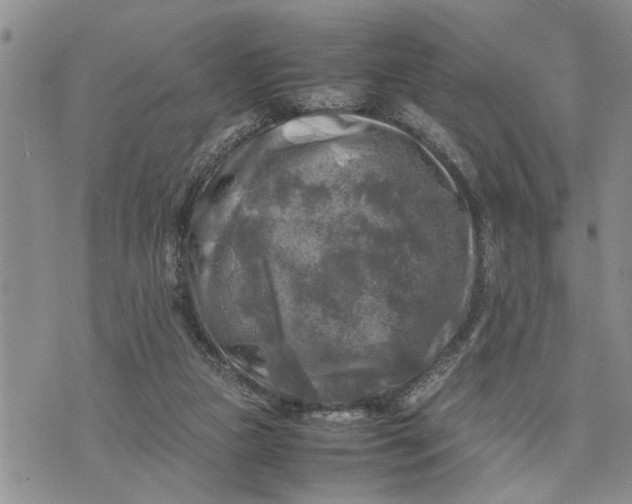 X0000075380161200609251201