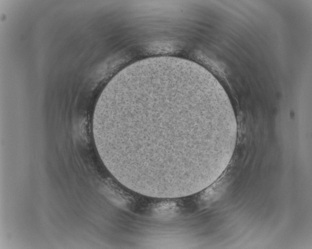 X0000075380162200609251201