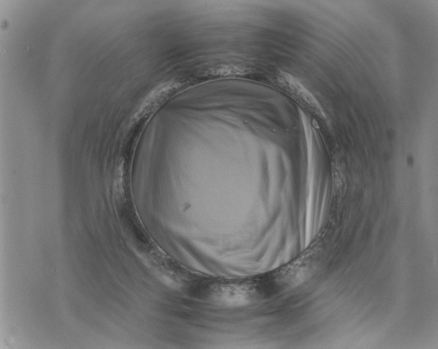 X0000075380163200609251201