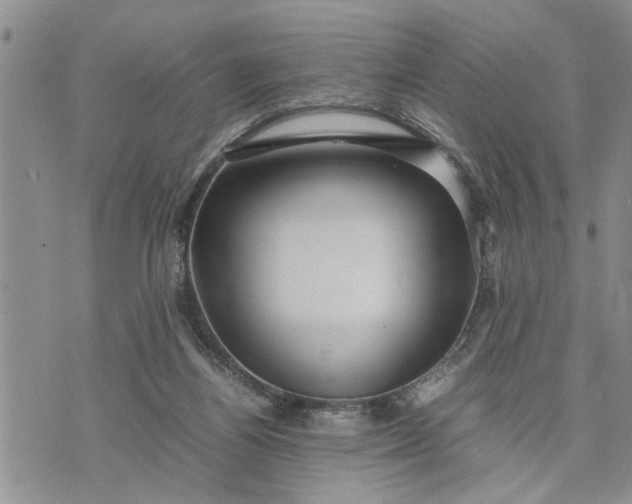 X0000075380164200609251201