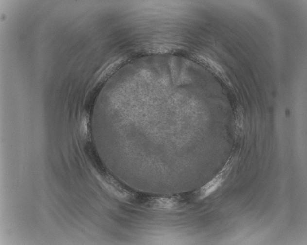 X0000075380166200609251201