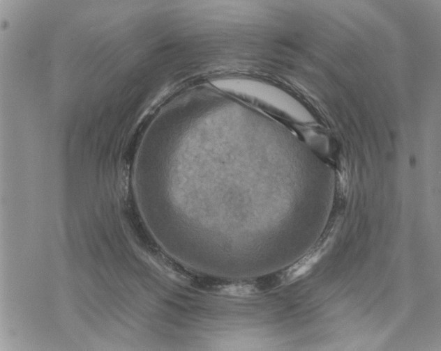 X0000075380168200609251201