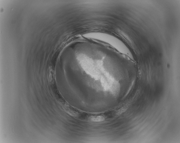 X0000075380169200609251201