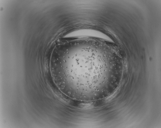 X0000075380170200609251201