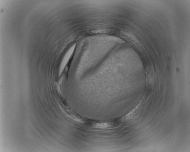 X0000075380171200609251201