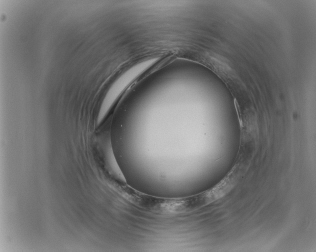 X0000075380172200609251201