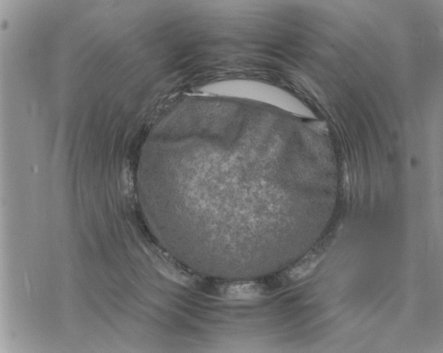 X0000075380173200609251201