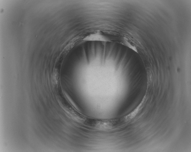 X0000075380174200609251201