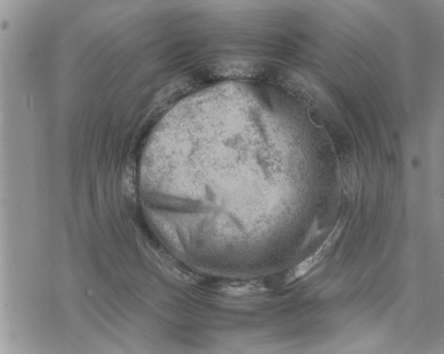 X0000075380175200609251201