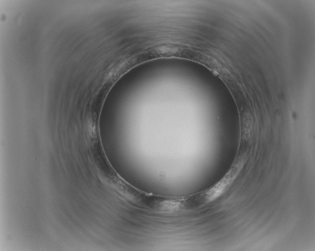 X0000075380176200609251201