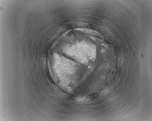 X0000075380177200609251201