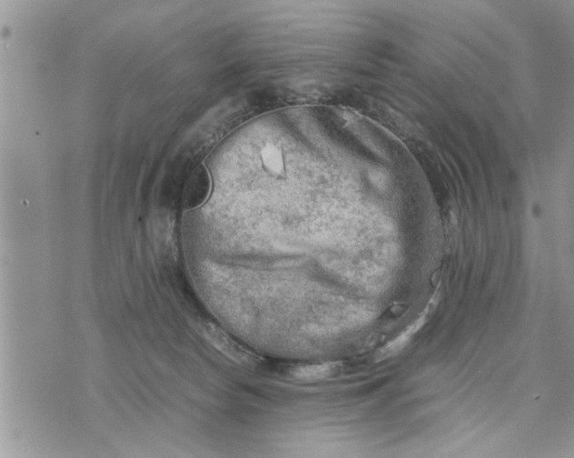 X0000075380178200609251201