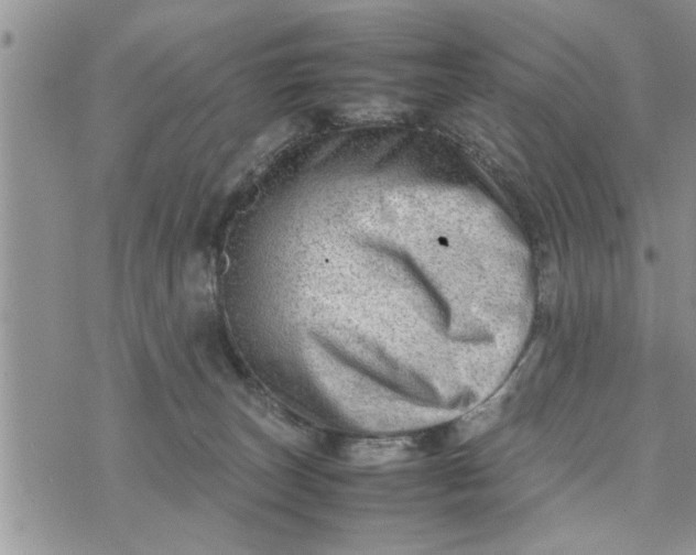 X0000075380179200609251201