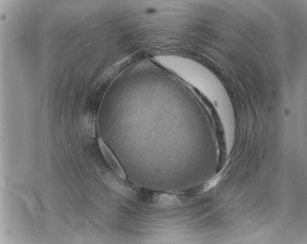 X0000075380180200609251201