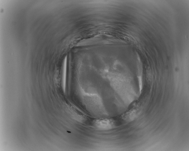 X0000075380181200609251201