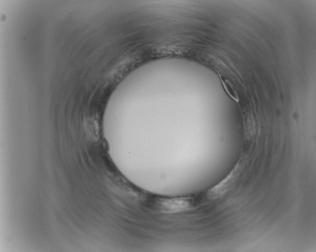 X0000075380183200609251201