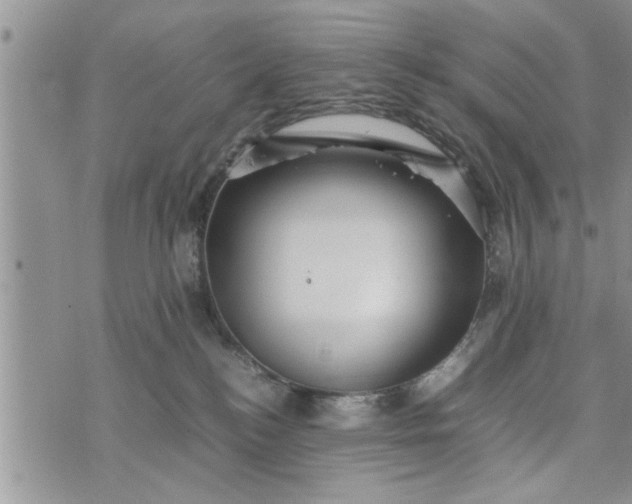 X0000075380184200609251201